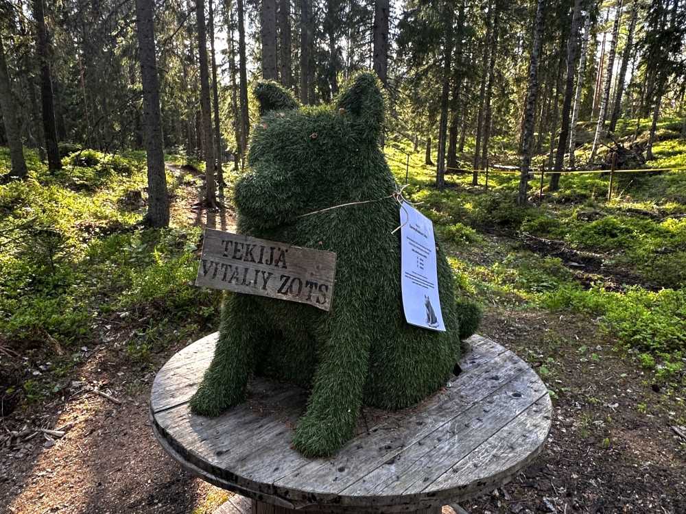 Tassusuunnistus Someron Koirametsässä
